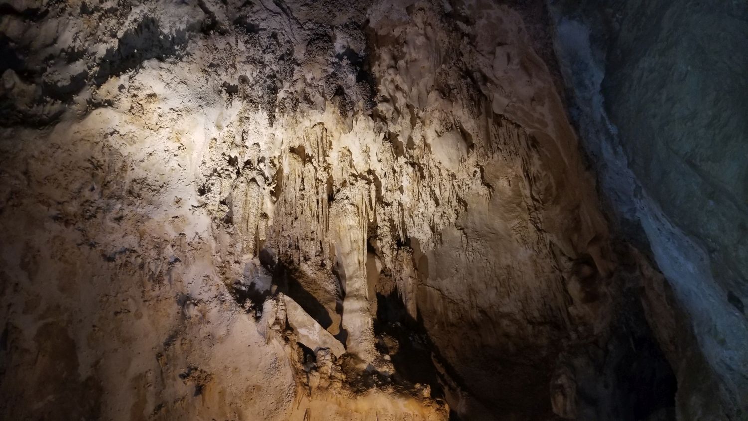 Carlsbad Caverns 